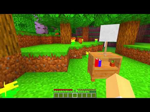 Sbriser È Stato CACCIATO Su Minecraft!