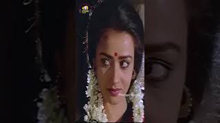 Download lagu Mounam Sammadham Tamil Movie Songs | Kalyana Then Nila Vertical Song | Amala| Mammootty| Ilaiyaraaja mp3 Download lagu Mounam Sammadham Tamil Movie Songs | Kalyana Then Nila Vertical Song | Amala| Mammootty| Ilaiyaraaja mp3