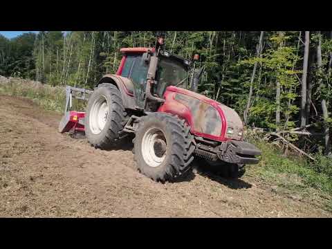 Waldfläche Forstmulchen / Forestrymulcher Landclearing