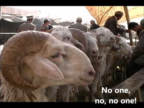 download lagu mp3 mp4 My Sheep Hear My Voice Nkjv, download lagu My Sheep Hear My Voice Nkjv gratis, unduh video klip My Sheep Hear My Voice Nkjv