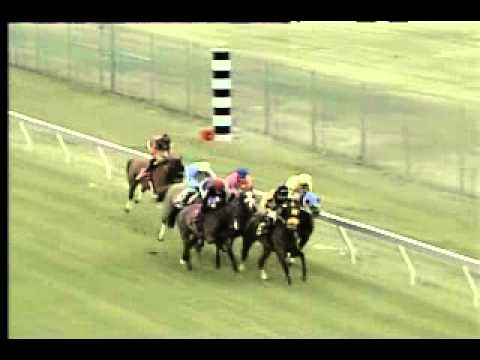 Pimlico 04/05/14 race 9 - Dahlia Stakes
