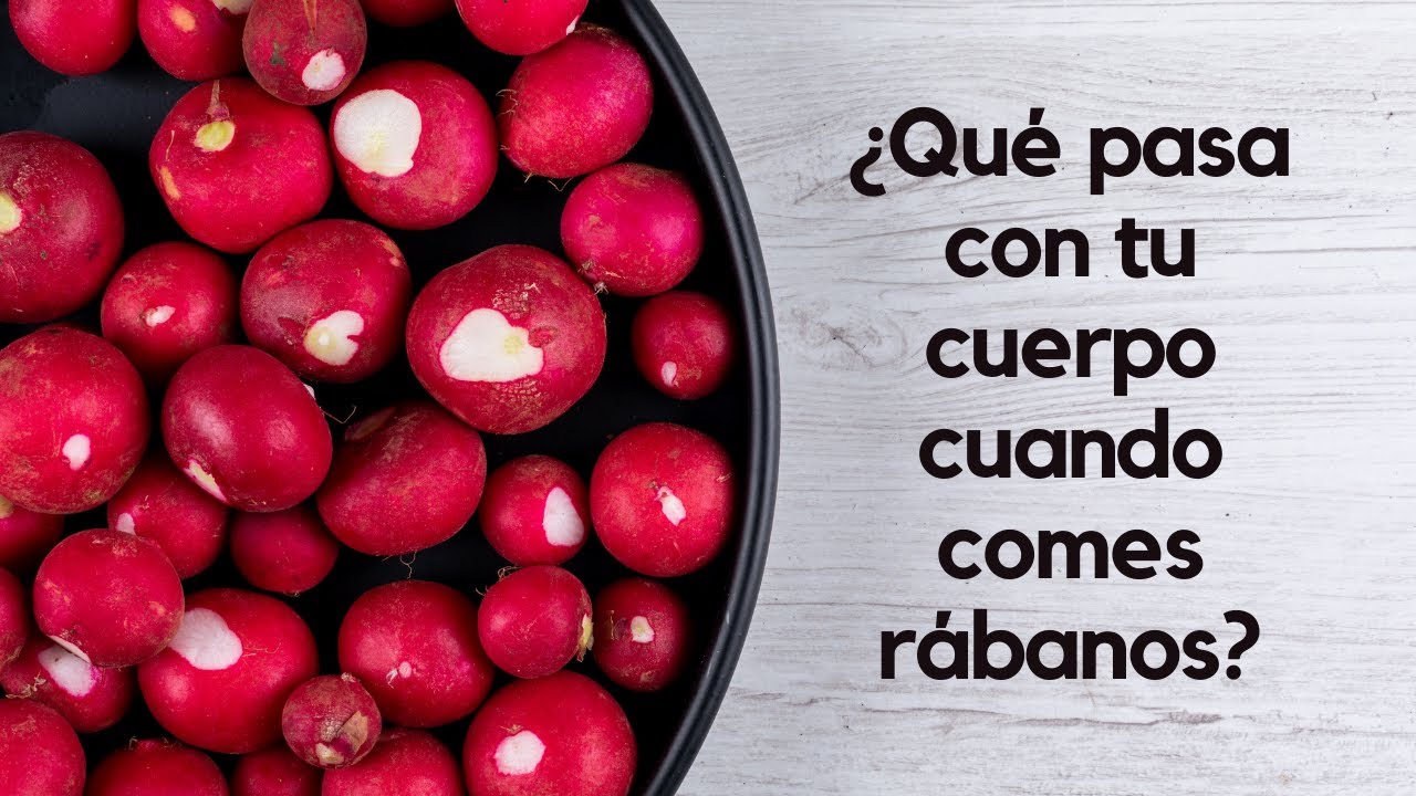 Rábano y sus extraordinarias propiedades