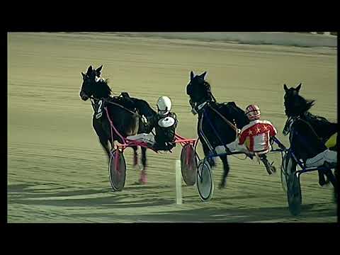 Napoli Trotto 17/12/2021 - 7ª corsa