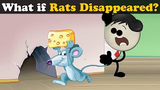 What if Rats Disappeared? + more videos | #aumsum #kids #science #education #children