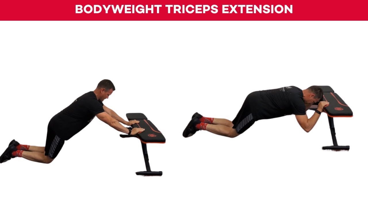 BW Triceps Extension Exercise