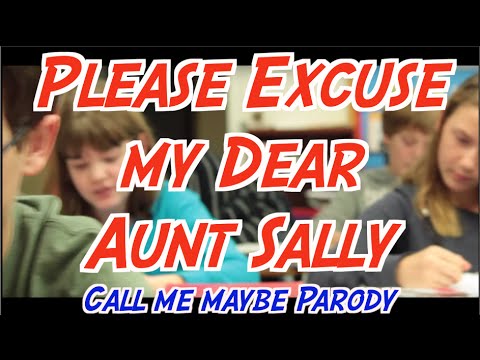 Please Excuse my Dear Aunt Sally (The Order of Operations) PEMDAS