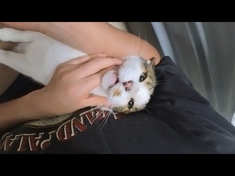 싸울수 밖에 없었다