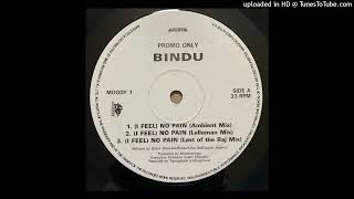 Bindu - I Feel No Pain (Ambient Mix)