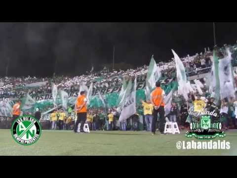 "Atlético Nacional 1 vs Jaguares 0 -  La Banda Los Del Sur" Barra: Los del Sur • Club: Atlético Nacional