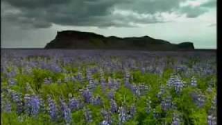 Jesus Christ Superstar- Frank Pourcel.