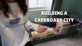 guinea pig cardboard city // making cardboard guinea pig houses