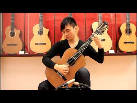 Gran Vals  - Francisco Tárrega (Steven Law)