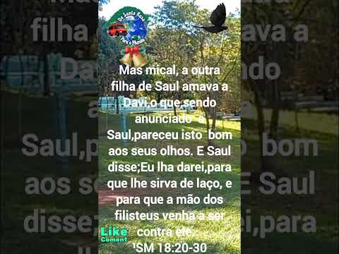 Humano amor de Deus. Padre Fábio de Melo. #interior #paisagemnatural #natureza #louvor #viralvideo