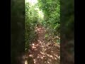 Tudo Vai Dar Certo- Natiruts (part. Amani Kush)