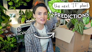 Unboxing The Next "IT" Plants! 🌱 Grow Tropicals Haul + 2025 Plant Predictions