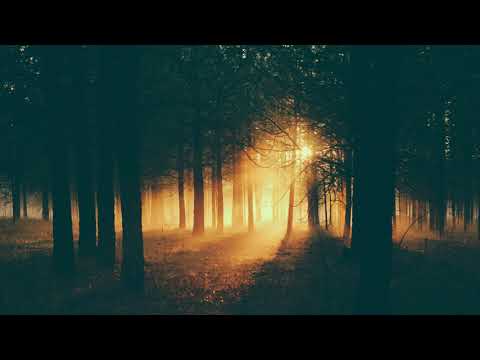 Armin van Buuren vs Inner City - It Could Be (Genix Extended Remix)