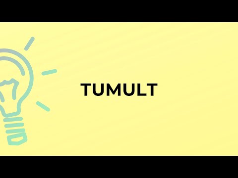 What is the meaning of the word TUMULT?