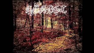 illa tidandi (BURZUM).wmv