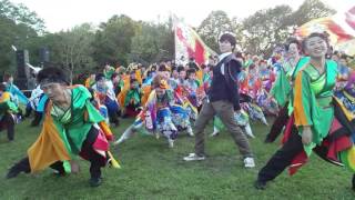 北海道情報大学蒼天祭2015 「まっこと総踊り」
