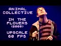 Animal Collective - In the Flowers  (HD Upscale)