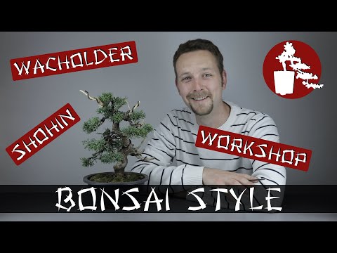 Shohin Workshop | Chin. Wacholder (Juniperus Chinensis) | #018 Bonsai Style