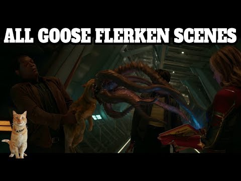 ALL GOOSE FLERKEN SCENES CAPTAIN MARVEL REALLY FUNNY!!