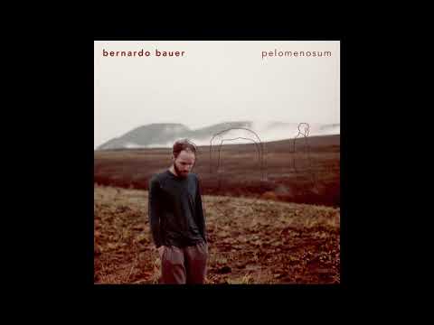 Bernardo Bauer - Réplica