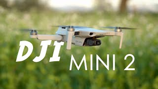 DIE Drohne für Alle! - DJI Mini 2