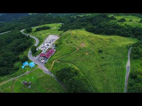 喜多方市 三ノ倉ひまわり畑