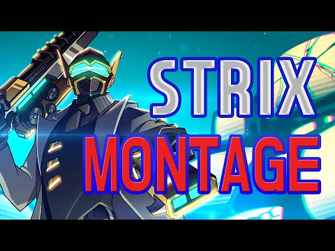 [팔라딘스] 스트릭스 프랙&매드무비 #10