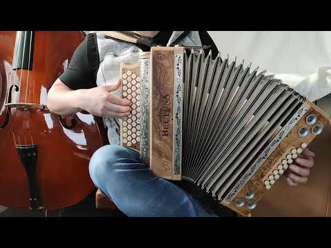 Klangprobe Beltuna Exklusiv IV D Olive Wurzel Spezial