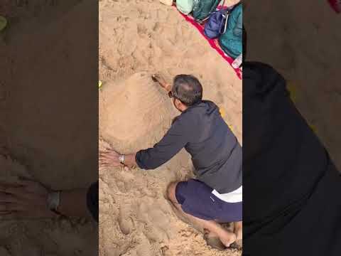 क्या आपको भी लगता है BSE 2050 तक  हो जाएगा ! #bse #sensex #trading #investing