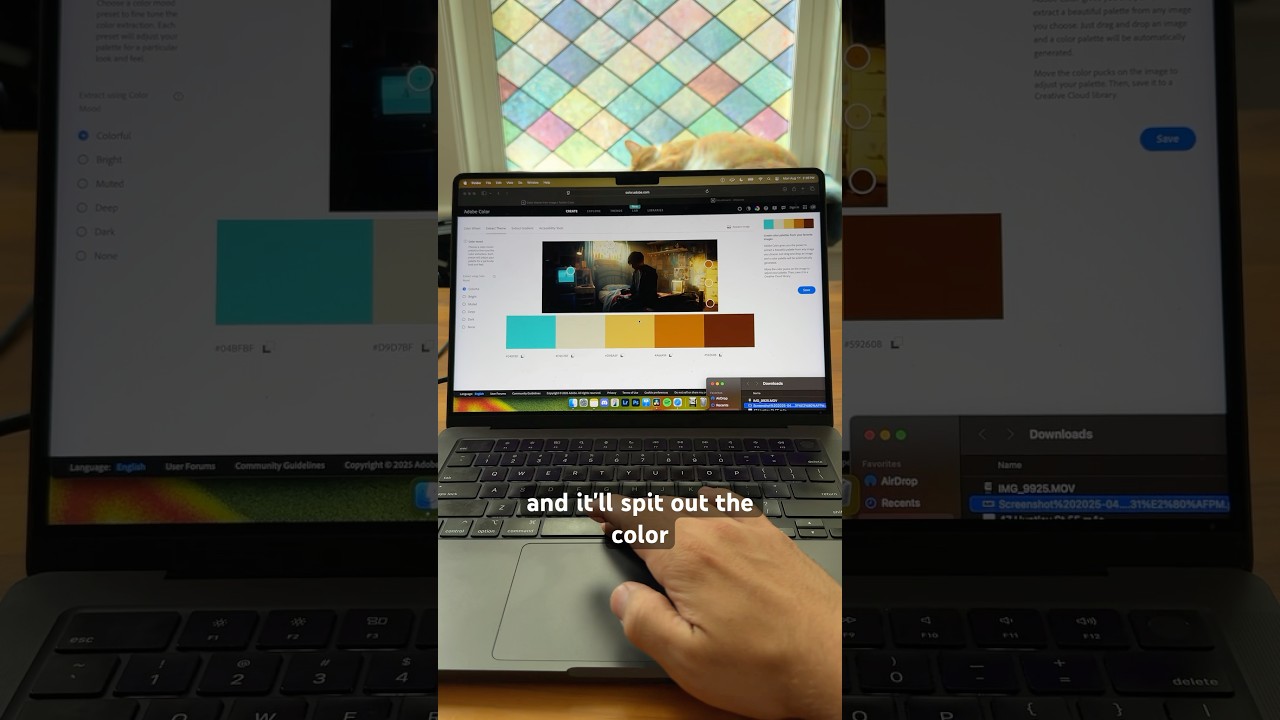 Color Palette Generator #filmmaking