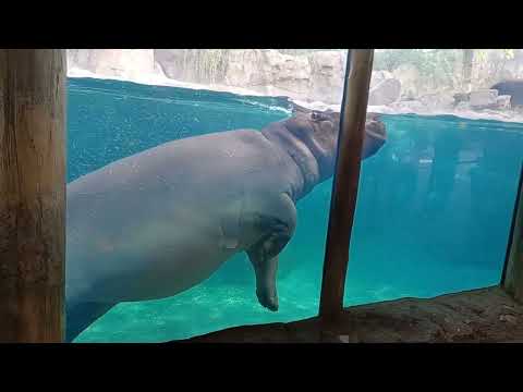 Tucker, Fiona and lots of bubbles. 10/21/22