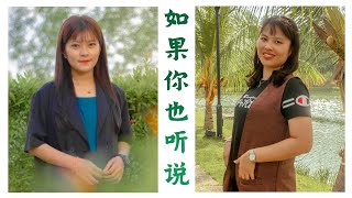 張惠妹 A-mei - 如果你也聽說 Ru Guo Ni Ye Ting Shuo ( have you heard lately? ) Cover | Duet Version