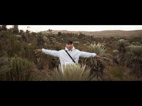 Almanegra - Natural - (VideoClip Oficial)