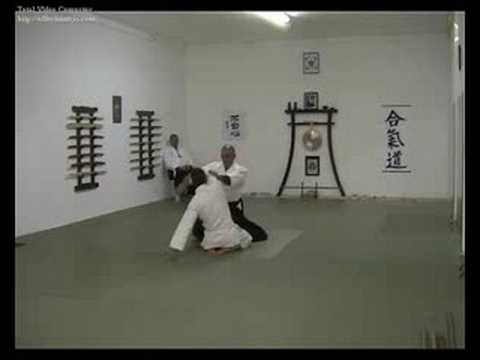 Aikido iwama floridia hagakure - suwari waza