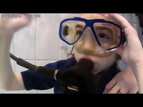 Дайвинг Клуб Пилигрим Детский дайвинг. Обучение Future Buddies