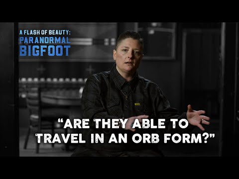Paranormal Bigfoot: Ashlea Stinnett
