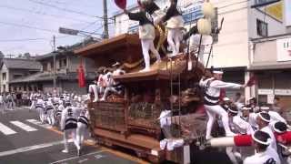 preview picture of video '2013岸和田だんじり祭のやり回し特集　Kishiwada-Danjiri・・・YARIMAWASHI'