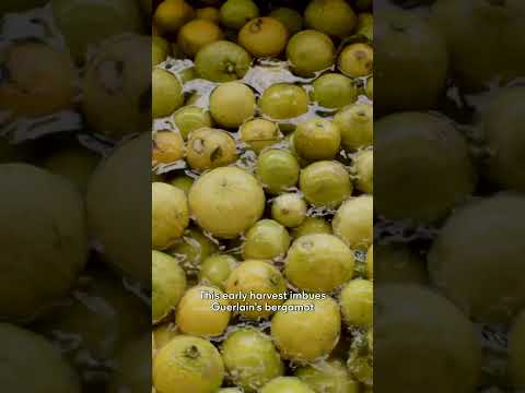 L'Art & La Matière: Les Extraits Signature - The Art of Raw: Bergamote Fantastico | GUERLAIN