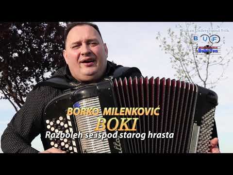 Borko Milenkovic Boki 2024 -  Razboleh se ispod starog hrasta