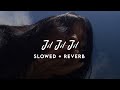 Jil Jil Jil | Lofi Mix | Slowed + Reverb | Sulaikha Manzil |