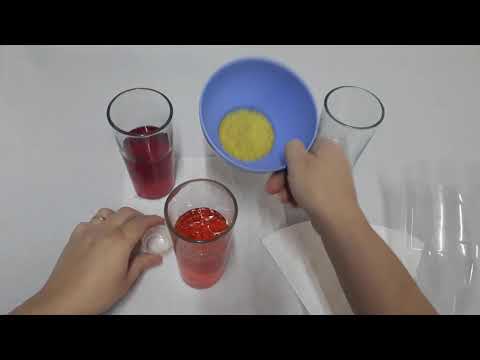 Sistema Urinário ou Excretor