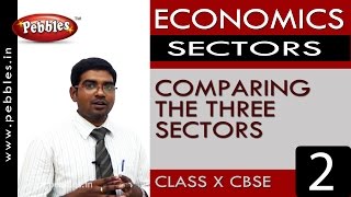 Comparing the sectors | Sectors of the Indian Economy  | Economics |CBSE Class 10 Social Sciences