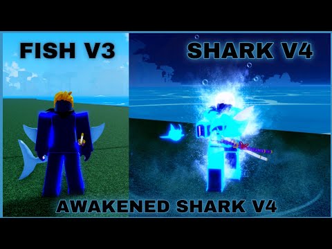 Getting Shark V4 with Full Upgrade ( Guild ) + Showcase In Blox Fruits