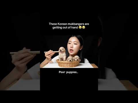 KOREAN MUKBANG 3 – She’s really about to eat a golden retriever puppy!?😱 #ai #mukbang #viral #shorts
