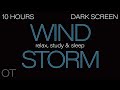 HOWLING WIND Sounds for Sleeping| Relaxing| Studying| BLACK SCREEN| Real Storm Sounds| SLEEP SOUNDS