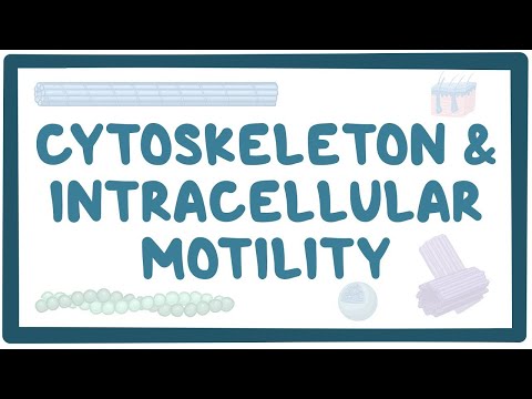 Potassium homeostasis an Osmosis Preview