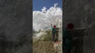 Download lagu Tanda merah @elvie sukaesih #aLmaheraMaissy mp3